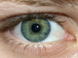 Photo Eye exam